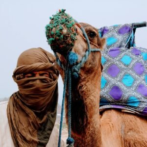 MOROCCO Group Trip: May 8-14, 2027